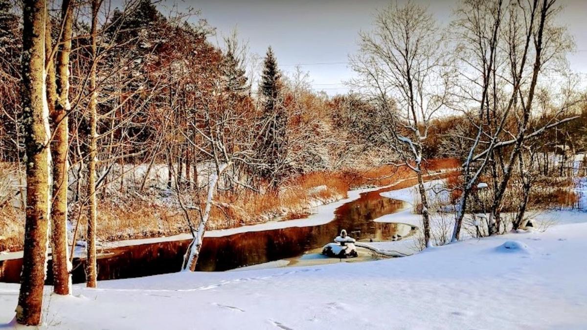 Joeaeaere Puhkekeskus Villa Langa Buitenkant foto