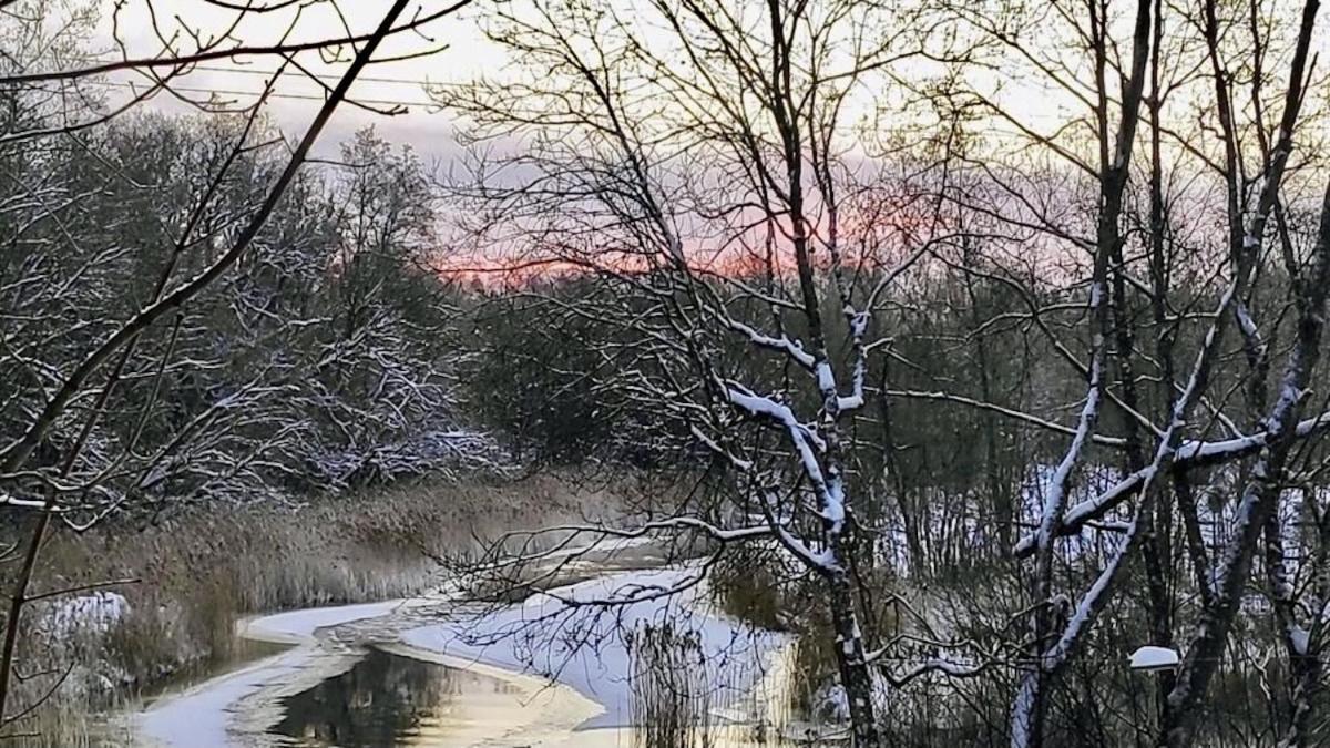 Joeaeaere Puhkekeskus Villa Langa Buitenkant foto