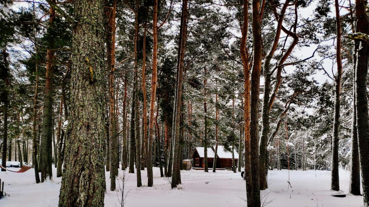 Joeaeaere Puhkekeskus Villa Langa Buitenkant foto
