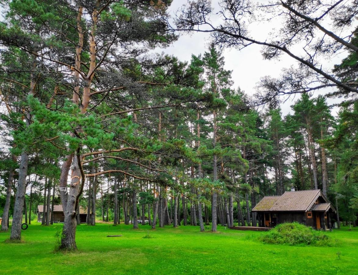 Joeaeaere Puhkekeskus Villa Langa Buitenkant foto
